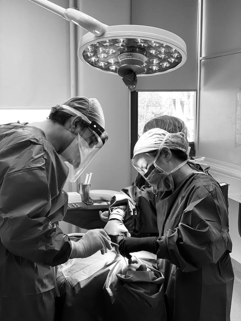 Oral surgery consultation at Sydney Specialist Oral Surgery